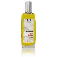 Ambientador Pulverizador Sys 100 ml. Canela-Naranja