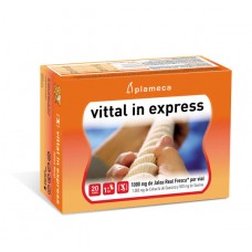 Jalea Real Vittal In Express 20 Viales