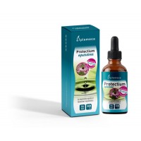 Protectium Equinácea 50 ml Gotas